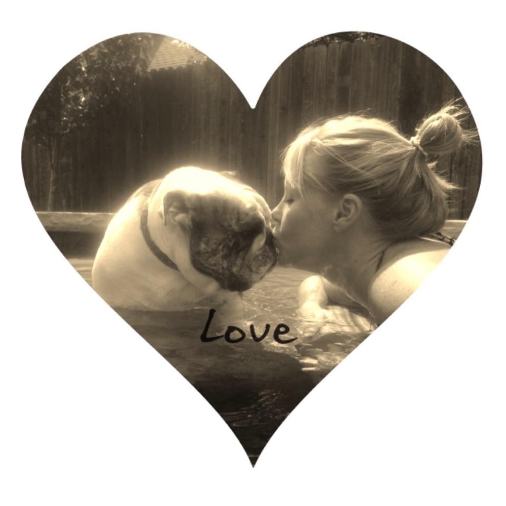 Meet your Posher, Julie